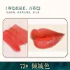 Bairo polvo de labios diy casero planta color primario polvo hecho a mano superfino color polvo material marca número de color polvo que cambia de color