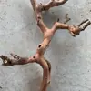 Suporte de Galho de Madeira Natural, Tronco de Árvore Decorativo com Base, Ornamento para Mesa de Centro, Exibidor de Joias Feito à Mão