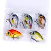 Cebo Luya de lanzamiento lejano Mino Fat Man Set Rock and Roll Cebo sumergido para peces Carpa herbívora Luya Cebo falso de agua dulce