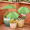 Sombrilla Popular Transfronteriza para Plantas de Amazon, Flor en Maceta, Sombrilla de Protección Solar, Aislada, Sombrilla de Protección para Plantas de Exterior en el Suelo