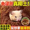 Substrato de coco específico para hamsters, areia de coco em bloco, forração para répteis, terrário para tartarugas terrestres, forração de inverno, hibernação de tartarugas brasileiras e habitat para aranhas