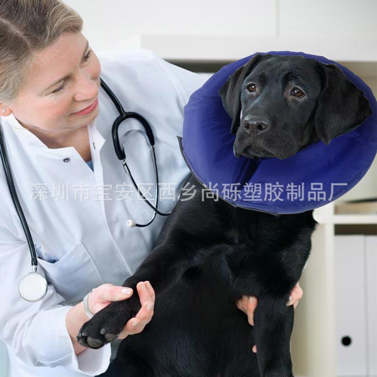 宠物项圈-应用7