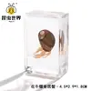 Artesanía Jingling Muestras Biológicas Acuáticas Conchas de Caracol Peces Camarones Cangrejos Regalos de Educación Científica Adornos de Resina Caja Sorpresa