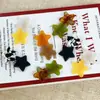 Pasador de Acetato con Forma de Estrella Estilo Coreano para Mujer, Pinza Lateral para Mechones Sueltos, Pinza de Pato, Pinza Pequeña de Alta Gama, Accesorio Versátil para el Cabello