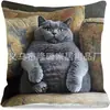 Funda de Almohada de Gato Más Vendida en Temu, Funda de Almohada de Animales Linda y Divertida, Funda de Cojín Decorativa para Dormitorio, Hogar, Sofá, Venta al por Mayor