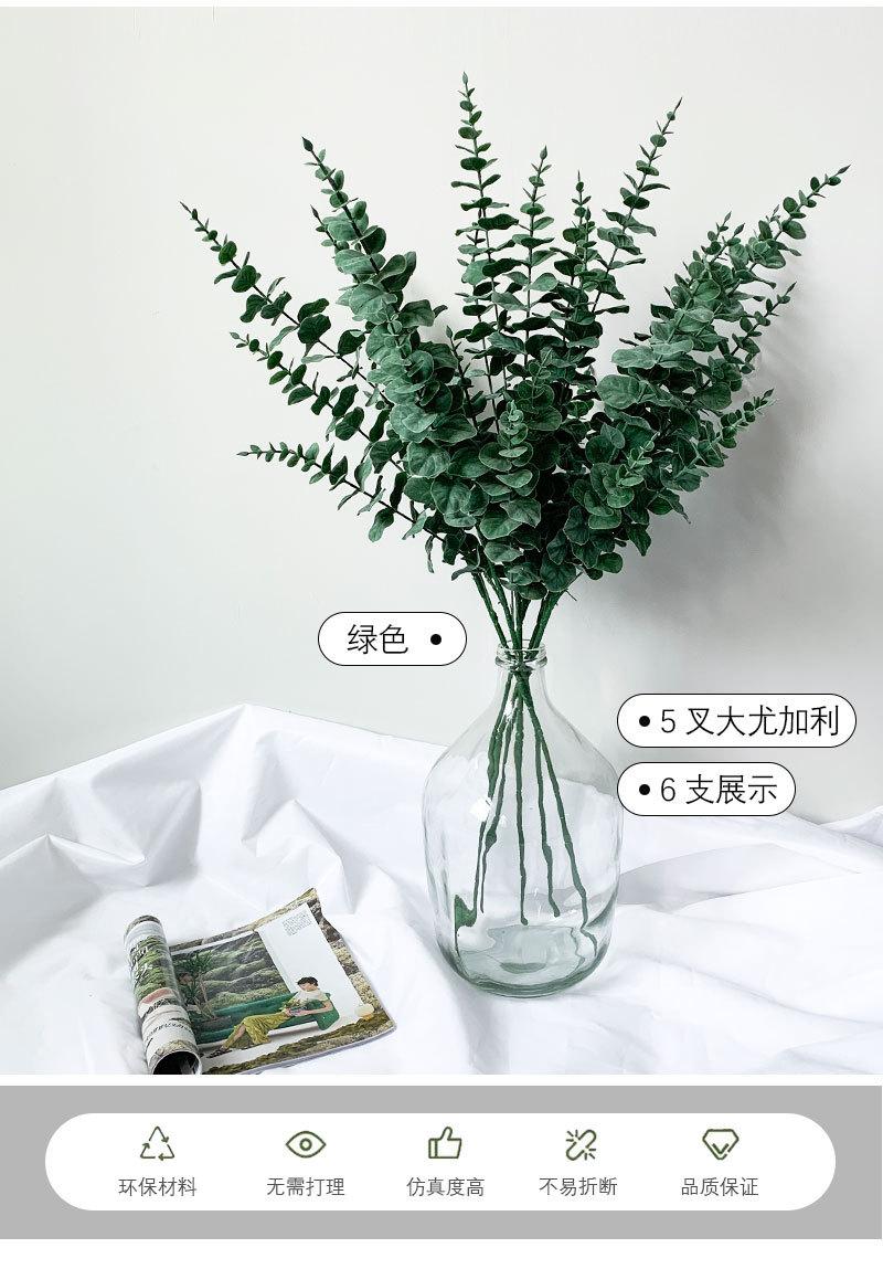 盆 尤加利