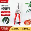 Tijeras de Jardinería de Cabeza Curva, Tijeras de Podar Ramas de Jardín de Acero Inoxidable, Tijeras Serradas para Recolección de Fruta, Tijeras Especiales para Arreglos Florales