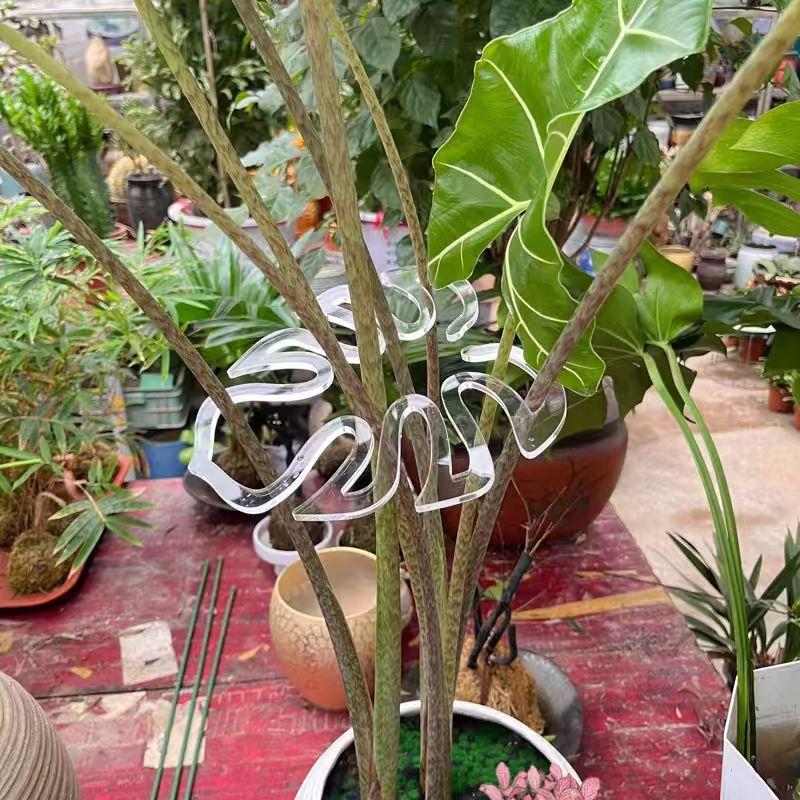 微信图片_20240808133321