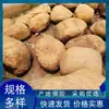 Ornamentos de pedra de cera amarela ornamentos de pedra de paisagem natural pedra de paisagem natural pátio rochedos fita de pedra revestimento pedra de paisagem