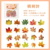 Pegatinas Creativas de Plantas para Decoración de Diario, Pegatinas Transparentes Impermeables de Mascotas, Kit de Materiales para Manualidades DIY para Estudiantes