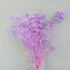 Arranjo de Flores para Decoração de Casa, Estilo Fresco e Natural, Flores Preservadas, Buquê Sonhador de Gipsofila Estrelada Atacado