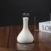 Estilo Ins Vaso Pequeno de Cerâmica Branca DIY Pintado Grafite Simples Queimado Vaso Pequeno Casa Mesa Entrada Vaso para Flores Secas