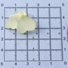 Accesorios de resina de oso de dibujos animados, joyería DIY, crema de pegamento, accesorios, funda de teléfono, horquilla, parche, material DIY hecho a mano