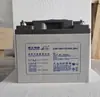 Batería de Plomo-Ácido Libre de Mantenimiento Lishi DJM12-7AH 9Ah 24Ah 100Ah para Sala de Servidores UPS, Protección contra Incendios, Control de Acceso y Vigilancia