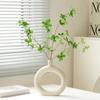 Jarrón de plástico simple con forma circular, estilo Ins, para sala de estar, mesa de comedor, botella decorativa, adornos de flores secas.