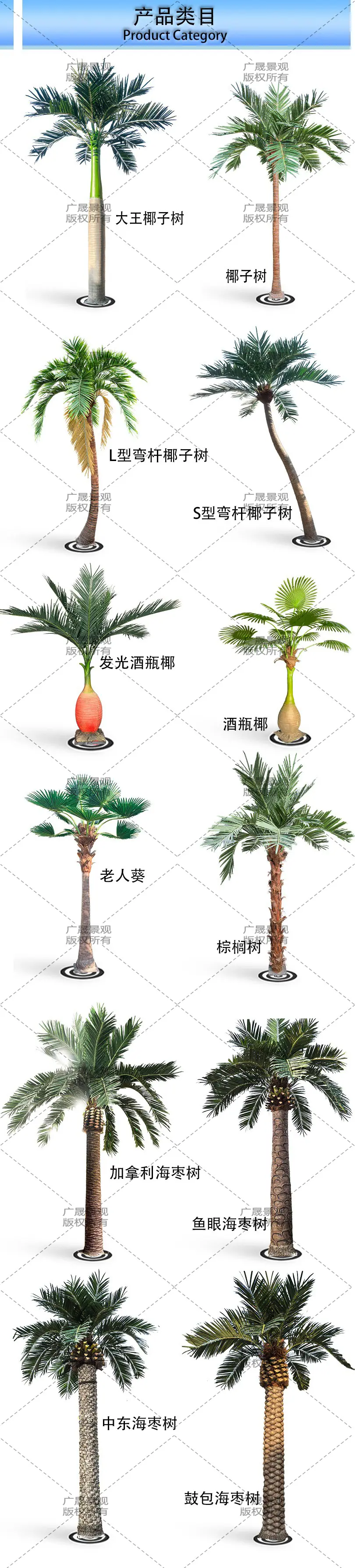 描述图_1