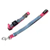 Conjunto de duas peças em estoque de fábrica de coleira e guia para cães em blocos de cor, nylon resistente ao desgaste com fivela de metal, conjunto para passeios de cães atacado
