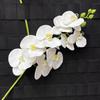 Impressão 3D 9 cabeças phalaenopsis flor artificial sentimento molhado avançado sentir vestir-se em casa beleza fotografia adereços salão de casamento