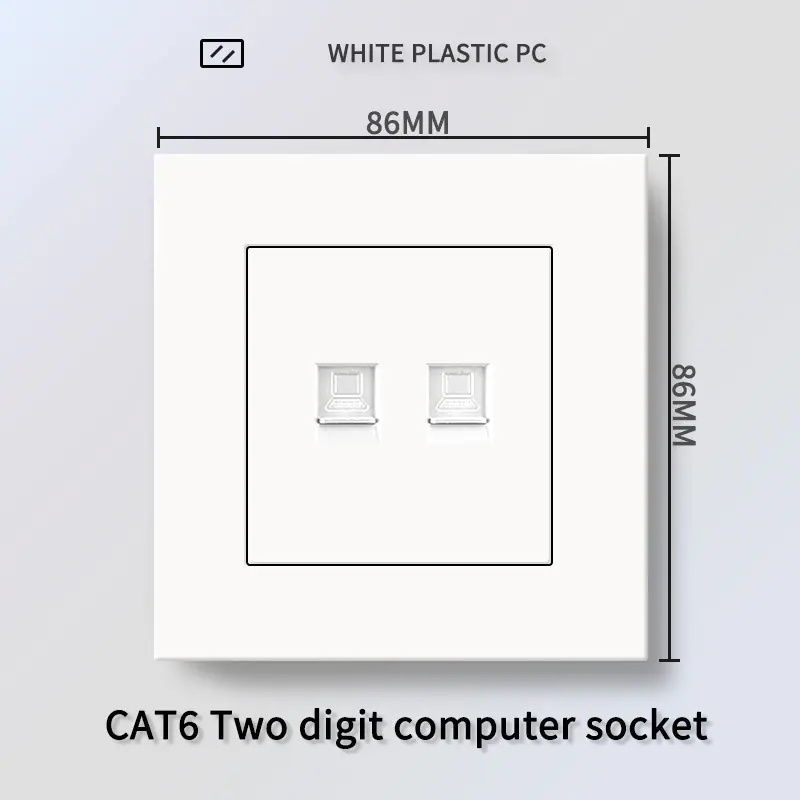 CAT6双电脑