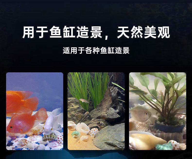 贝壳详情_02.jpg