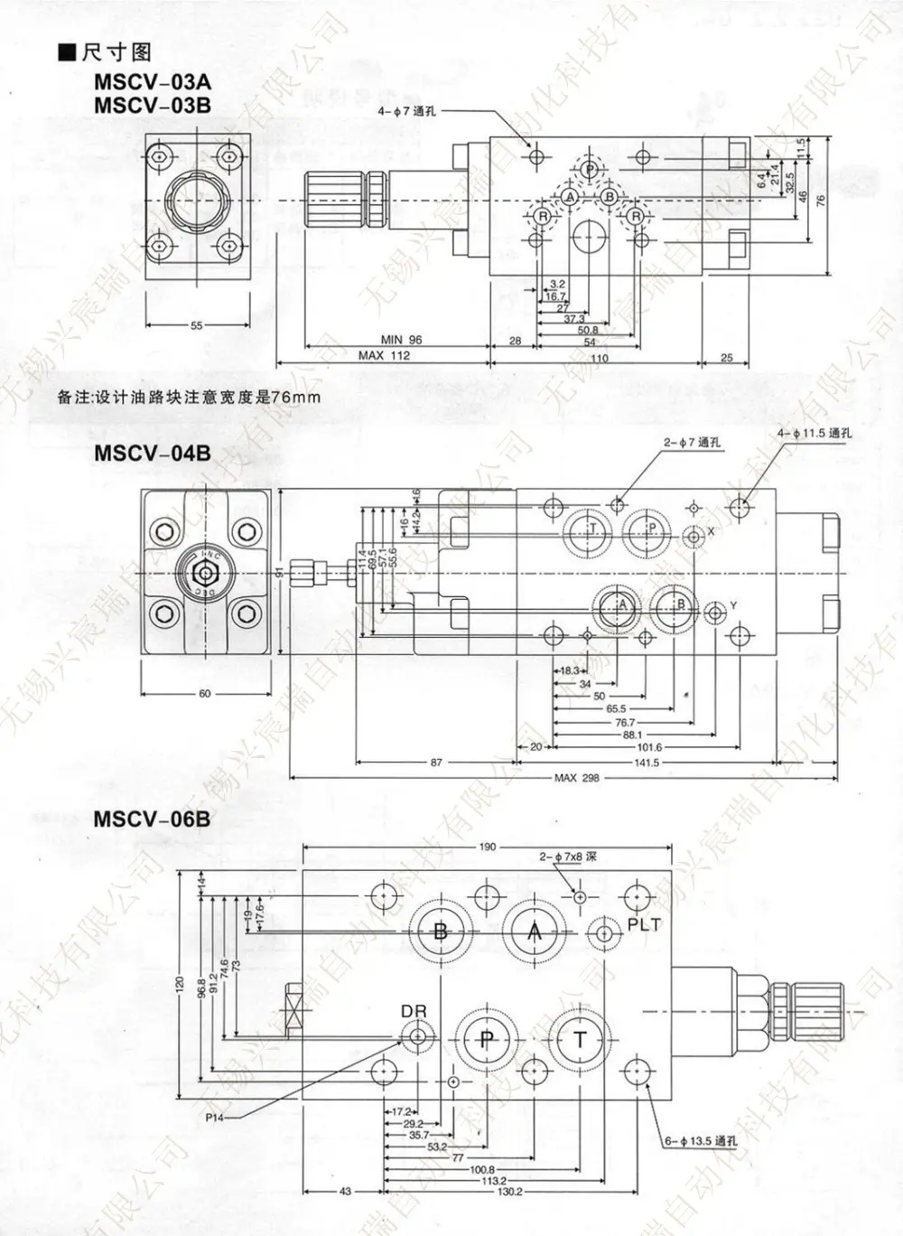 MSCV_24.jpg