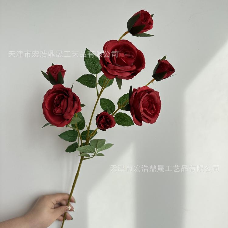 微信图片_202303091822238_副本