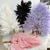 Hojas de Helecho Alpino Eterno al por Mayor del Fabricante: Hojas de Helecho Alpino Doradas, Flores Inmortales, Ramos de Flores Secas, Decoración de Bodas, Hierba Decorativa