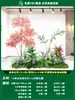 Paisagismo de Planta Artificial Varanda Arranjo de Paisagem Escada Interna Sob Árvore de Flores Artificiais Decoração Biomórfica Planta Verde Paisagismo Combinação