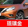 7. Ferramenta de reparo de tinta para retoque de carro Nissan Sylphy, Qashqai, Teana, X-Trail, Tiida, Luv e Juke para remoção de arranhões