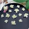 Verão Pequeno Gelo Verde Fresco Acessórios para Arte em Unhas Firefly Luminoso Nova Flor Acessórios para Arte em Unhas Material Bolsa