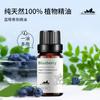 Arándano Arándano Aceite Esencial Único Aceite Esencial Frutal Aromaterapia Perfume Aceite de Fragancia para Coche O Em Muestra de 10ml