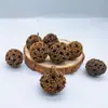 Fatias de Limão Decoração de Natal Acessórios Artesanais DIY Arranjo de Flores Ornamentos Decoração de Casa Pinhas Adereços de Fotografia Cascas de Frutas Secas