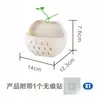 Cesta de Armazenamento de Maçã de Parede Cuidadosamente Selecionada, Cesta de Absorção Magnética, Cesta de Armazenamento com Drenagem para Cozinha, Geladeira, Banheiro, Atacado Criativo