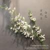 Orquídea Phalaenopsis Vandai Simulada Arranjo Floral Caseiro Fotografia Casamento Segurar na Mão Adereços de Flores Artificiais Sala de Estar Mesa de Jantar Orquídea
