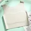 Nuevo Corsé sin Costuras, Reducción Natural de Taza, Ajuste Invisible, Tirantes Anchos, Top Tubo Cómodo, Agujeros Transpirables en la Espalda, Envoltura que Absorbe el Sudor