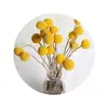Bola Dourada Flores Secas Ins Naturais Buquê de Flores Reais Decoração de Casa Display Adereços para Fotografia DIY Buquê de Flores Secas