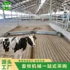 Fabricante de Industria Pesada Sumo Suministra Equipo Raspador de Estiércol de Vaquería Tabla Raspadora de Estiércol Inteligente Uno a Dos Máquina Automática de Limpieza de Estiércol para Granjas de Vacas