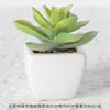 Suculentas Simuladas Personalizadas Cerámica Bonsái Plantas Verdes Escandinavas Adornos Hogar Interior Sala de Estar Flores Falsas Suculentas Plantas en Maceta