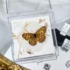 Foto de Espécime de Borboleta Real Porta-Retrato Caixa Transparente Ornamentos Estéreo Presente Ensino de Jardim de Infância Criativo Artesanal Adereços para Fotos