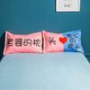 Funda de Almohada Cepillada de Anime de Dibujos Animados Doble Individual para Dormitorio de Estudiante 48X74cm Disparo en Pareja 2 Dropshipping