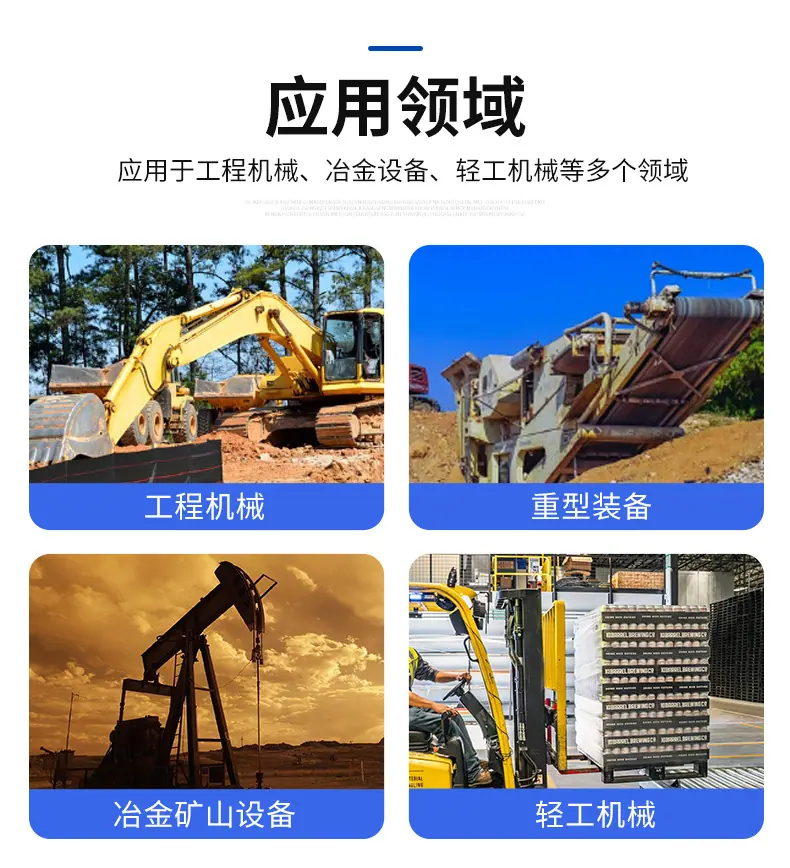 非标定制油缸_04