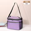 Bolsa térmica refrigerada portátil lancheira bolsa de almoço bolsa de gelo espessa para manter o frio piquenique ao ar livre bolsa de gelo de camada única bolsa portátil