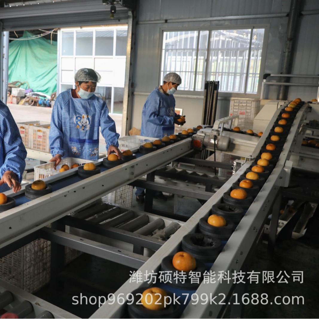 2024-04-05 10:52:33.jpg