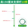 Suporte para Orquídea Phalaenopsis Haste de Suporte para Planta de Orquídea Suporte Retificador de Fibra de Vidro Haste de Fixação para Planta Trepadeira