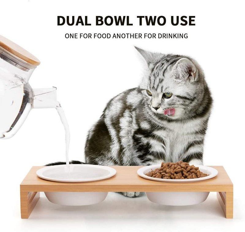 61aR7irRErL._AC_SL1000_