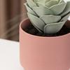 Maceta de cerámica carnosa para jardín, balcón, sala de estar, plantación de plantas en maceta, moderna y sencilla, directa de fábrica