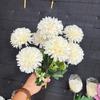Crisântemo Simulado Qingming Transfronteiriço Crisântemo Simulado Crisântemo Bola Pequena de Sete Cabeças Crisântemo Bola Pequena Simulado Arranjo de Flores Especialmente Projetado para Fotografia de Casamento