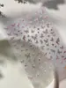 Adesivos de Unha com Padrão de Formiga Adesivos de Unha de Borboleta de Fada Estilo Menina Delicada Fabricante Original Acessórios de Unha Atacado Yt8367