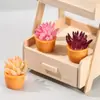 Plantas Suculentas Pequeñas en Maceta de Simulación Adornos para Paisajes Micro DIY Adornos Pequeños de Escritorio Muñecas de Joyería
