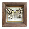 Marco de Fotos con Foto de Mariposa Real Pintura Decorativa Estilo Europeo Marco de Fotos Vintage Decoración de Mesa Adorno para Muebles Regalo de Cumpleaños Presente